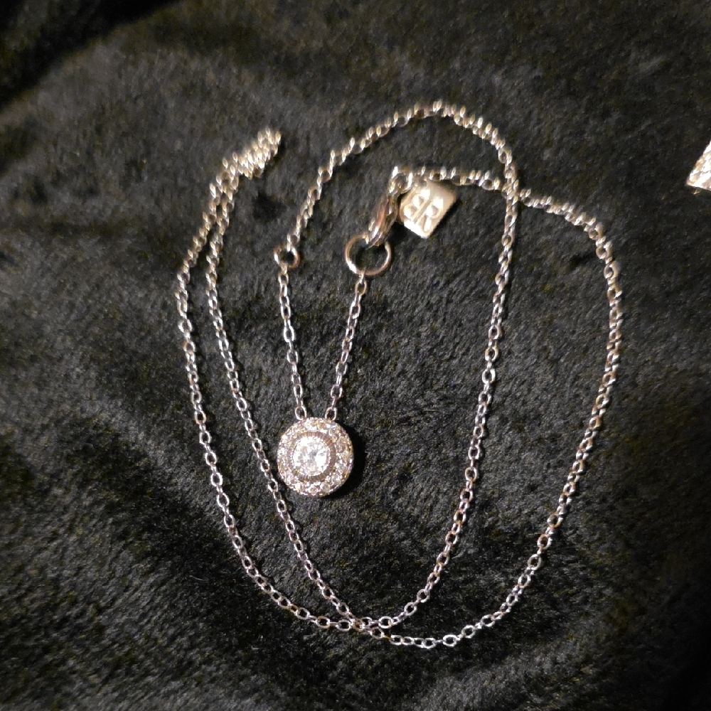 Banana Republic Silver Pendant Necklace